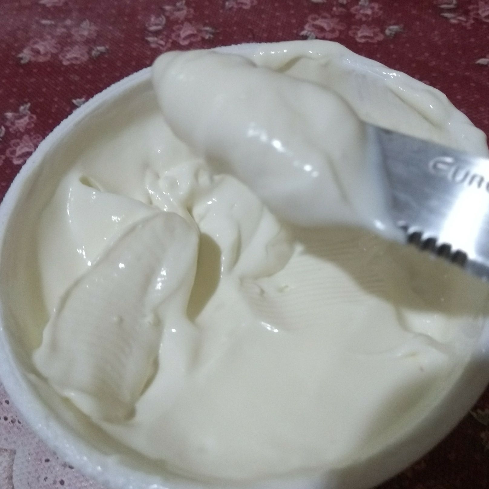 Requeijão de iogurte sem conservantes
