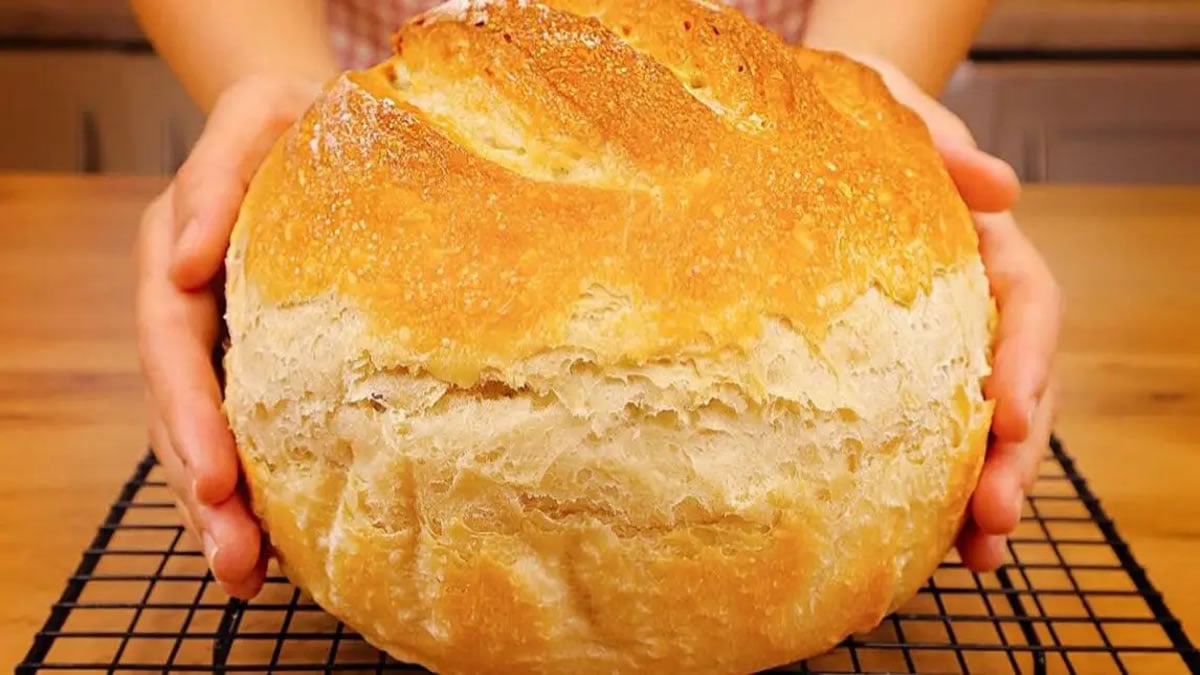 Pão caseiro alemão: receita simples, preparada de forma rápida e deliciosa